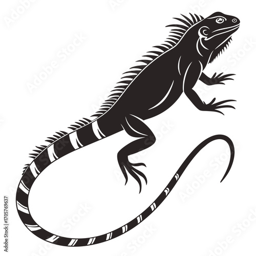 lizard on a branch