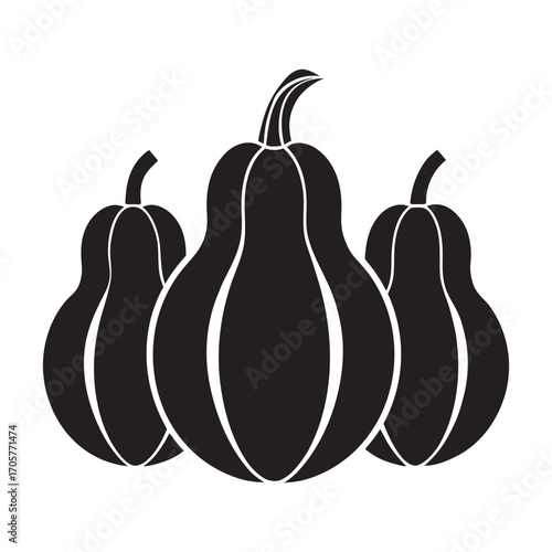 Seasonal harvest of squashes arranged in a decorative basket