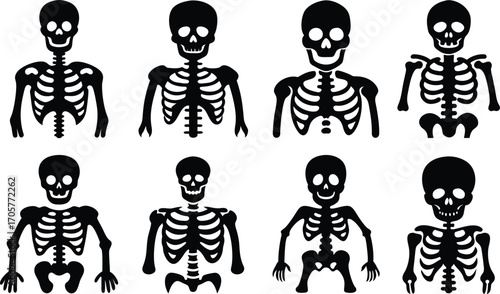 Skeleton Vector Silhouette Halloween Illustration