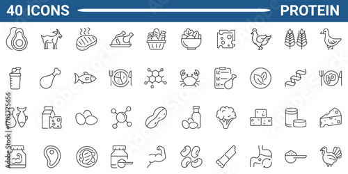 Set of 35 outline icons related to protein. Linear icon collection. Editable stroke. Vector illustration. Modern style pictograms and infographics.