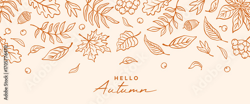 Autumn card, banner or poster with hand drawn leaves in line sketch style. Fall doodle leaf oak, maple, chestnut, acorn, berry rowan. Trendy seasonal background. Vector illustration.