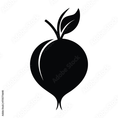 Fresh organic rutabaga vegetable root illustration isolated on white background vector design