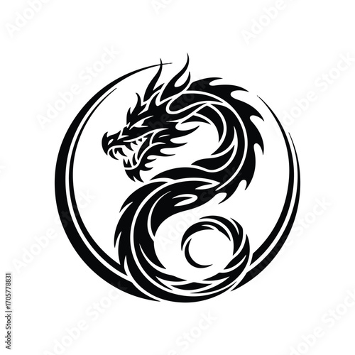 Dragon black and white logo transparent 