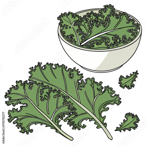 Bowl of kale leaves with scattered kale leaves on a white background leaf green