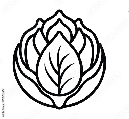 Radicchio bunch with roots and leaves isolated on transparent background vector