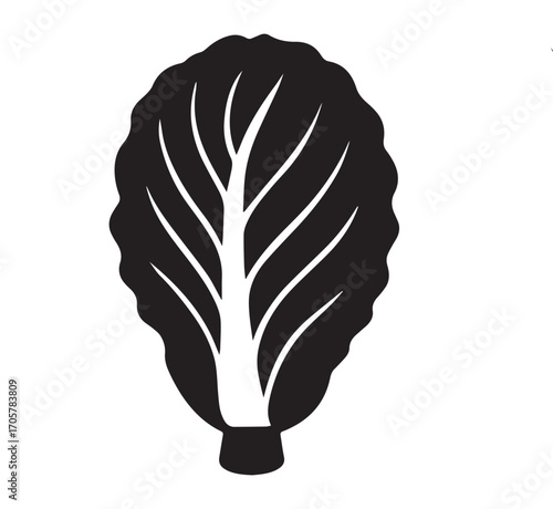 Healthy radicchio vegetable arrangement with herbs and greens vector illustration