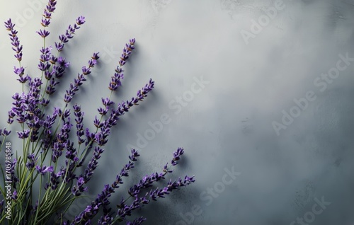 Lavender Flowers Arranged on a Textured Gray Background Creating a Serene Atm...