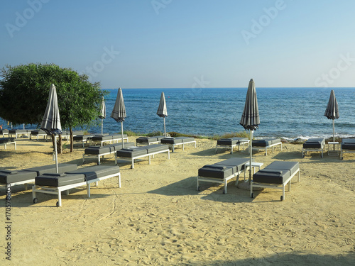 Beautiful landskape, palm trees and sun loungers at luxury resort
