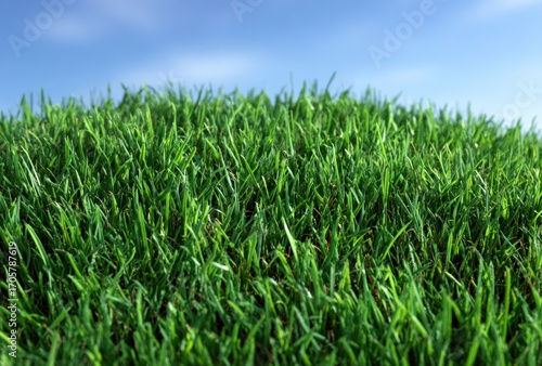 Vibrant close-up featuring lush green grass blades under a bright, partially blurred blue sky, evokes freshness and growth