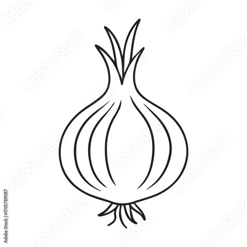 hand drawn onion with detailed layers and roots