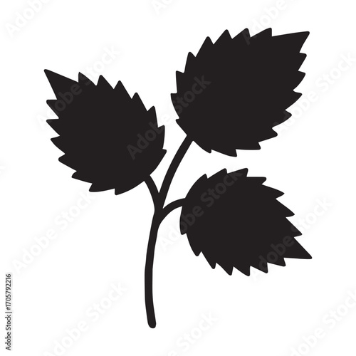 Seamless pattern of hand drawn nettles with intricate leaves and stems