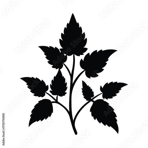Detailed illustration of green nettles growing in a wild forest setting
