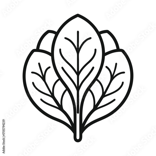 Healthy spinach bundle arranged on wooden table top view