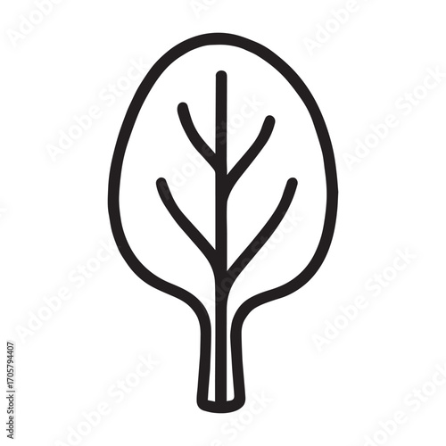 Vector illustration of spinach leaves with realistic shading