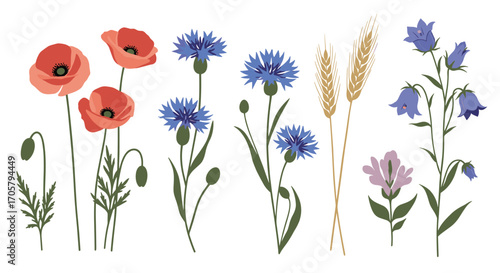 A collection of colorful wildflowers and wheat stalks on a white background.