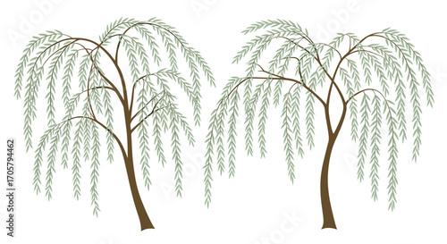 Two weeping willow trees sway gently in a soft breeze.