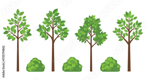 Four stylized green deciduous trees and bushes in a row.