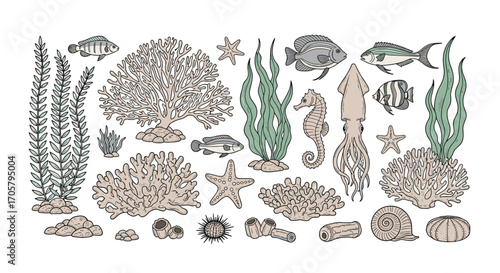 Collection of decorative marine life elements and underwater flora in soft muted colors.