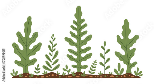 Celebrating the vibrant green world of plants.