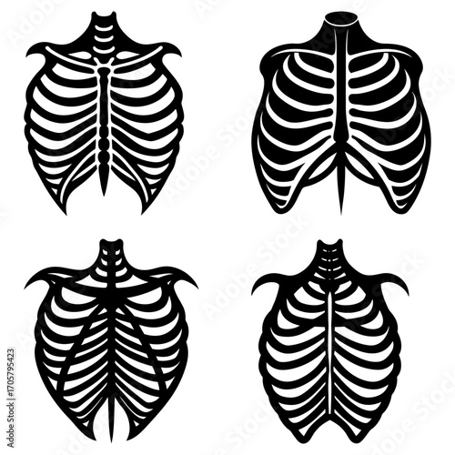 Four stylized rib cage illustrations in black and white showing different anatomical representations of ribs