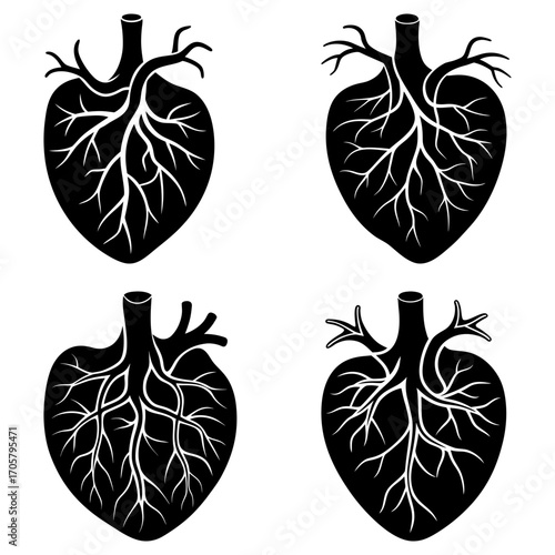Four stylized heart illustrations with intricate vein designs in black and white color scheme art