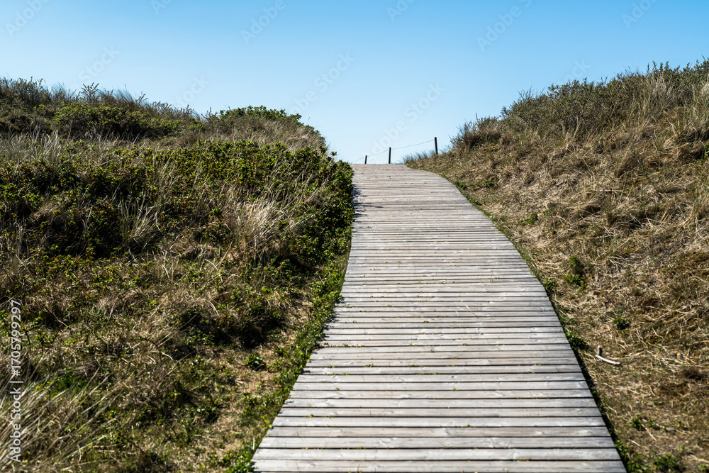 Fototapeta premium Strandsparziergang