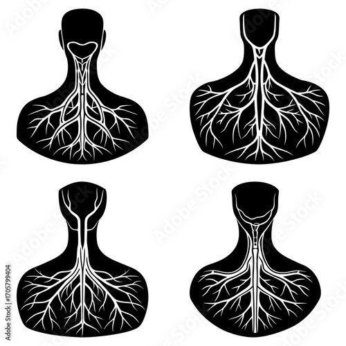 Four anatomical illustrations showing the human neck and upper chest with vein structures in black and white