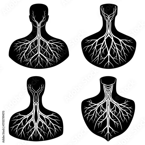Four anatomical illustrations showing the vascular system in the upper body on a white background