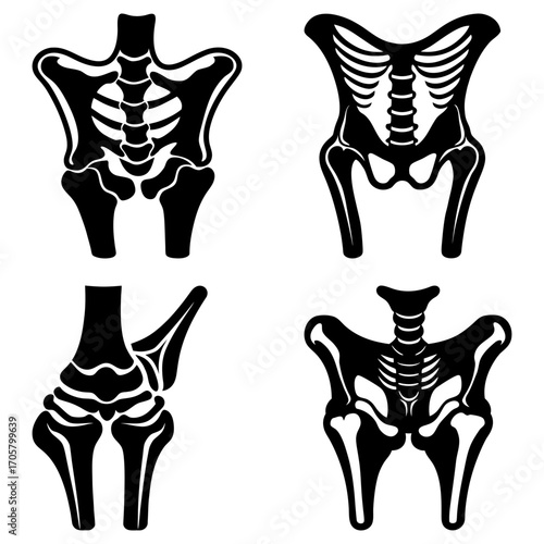Four black and white skeletal illustrations of the human body anatomy and bone structure shown