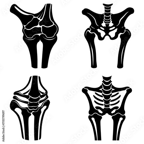 Anatomical illustrations showing skeletal structures of the knee hip elbow and shoulder joints in black