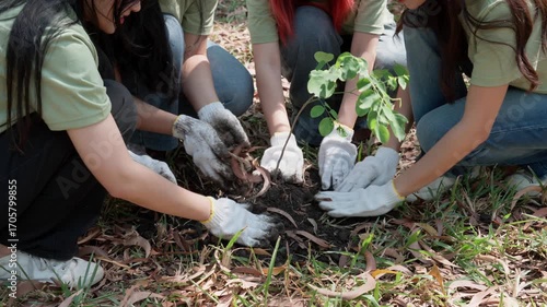 Close up hands holding soil and seedlings, volunteers embody caring and responsibility, showcasing teamwork and effort, collaboration, and commitment to sustainability in preserving our planet natural
