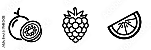 Black Outline Vector Fruit Icons Set with Passion Fruit, Raspberry, and Citrus Slice