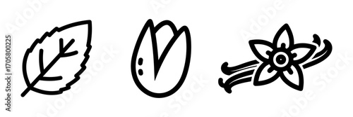 Simple Line Art Icons of Mint Leaf, Pistachio Nut, and Vanilla Flower with Pods