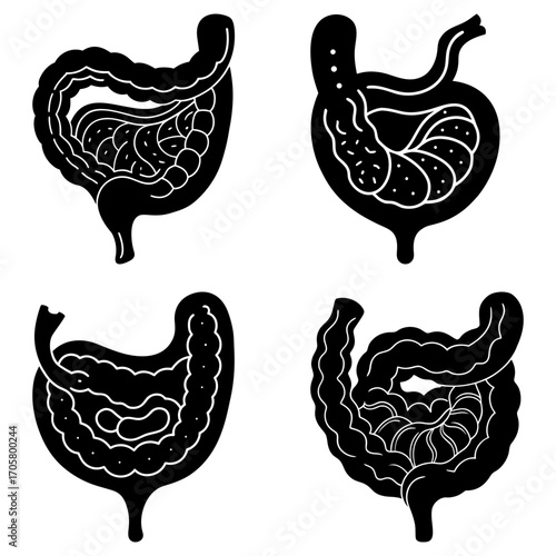 Four anatomical illustrations of the human digestive system showing the intestines in black and white style