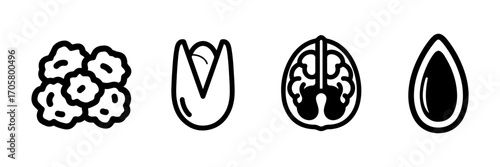 Minimalist Outline Icons of Nuts and Seeds, Featuring Pistachio, Walnut, and Teardrop Seed on White Background