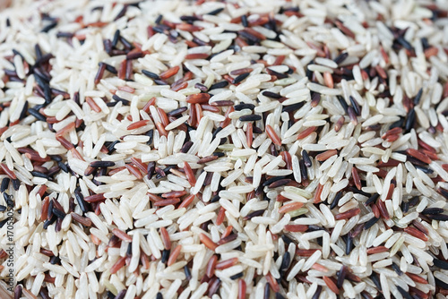 Rice background.