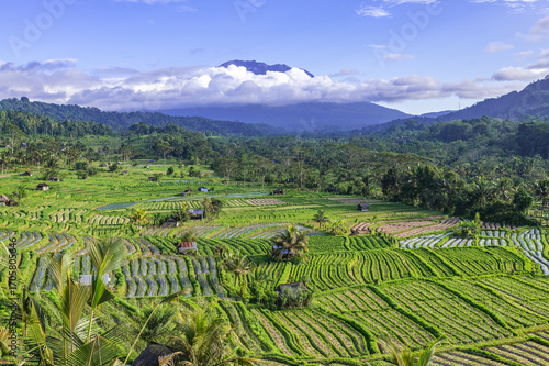 Rice fields in Sidemen valley with Mount Agung in the background, Bali, Indonesia