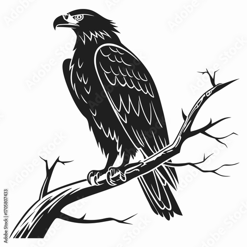 eagle on a branch