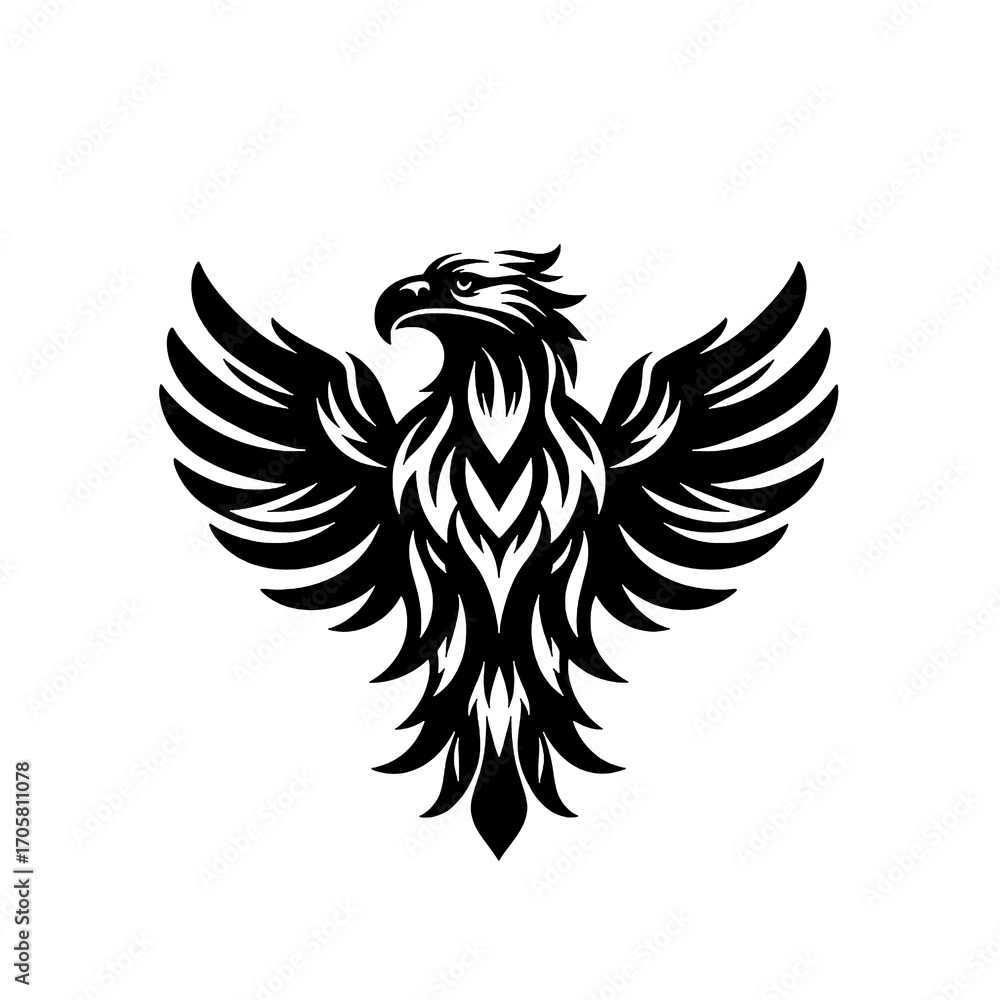 Obraz premium eagle with wings