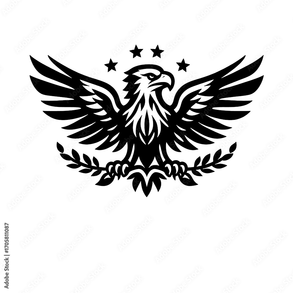 Obraz premium eagle with wings