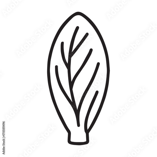 Bright chicory blossoms with intricate leaves and stems in a flat vector design