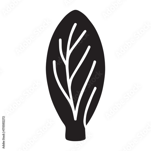 Detailed botanical illustration of a blooming chicory plant on a white background
