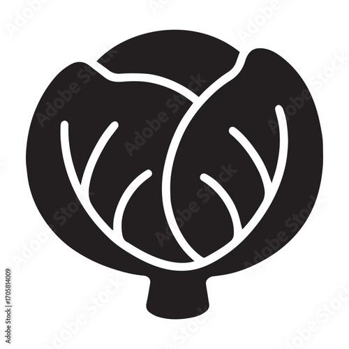 Farm fresh cabbage growing in garden soil vector illustration in realistic style