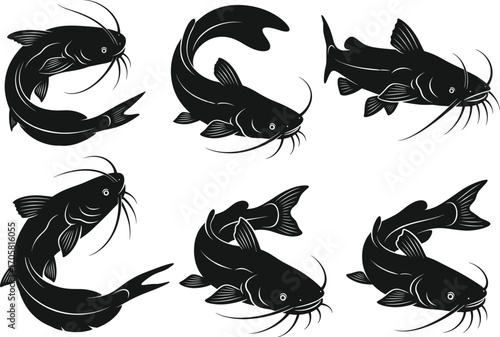 Silhouette set of catfish in various swimming poses, black vector fish illustration, freshwater aquatic animal, fishing design element