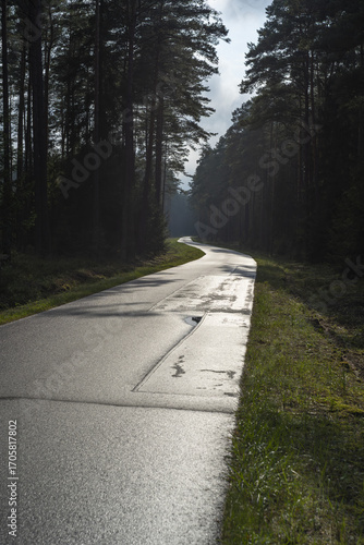 Winding road through the forest in Poland, Masuria, in the evening sun