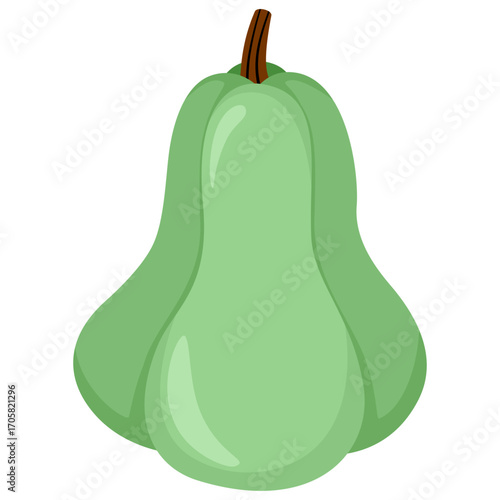 Green pumpkin gourd vector style