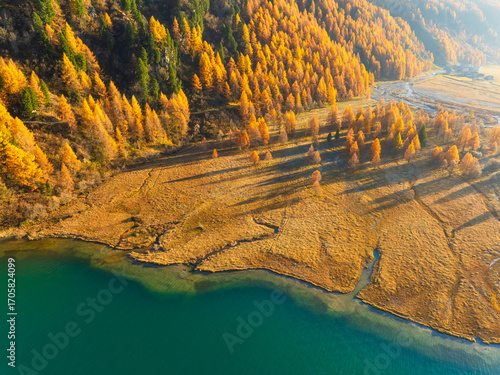 Drone view of the fall forest and lake. Aerial view. The sun's rays shining t...