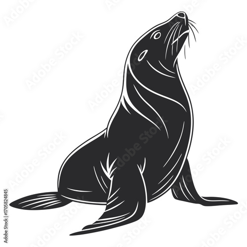 black sea lion