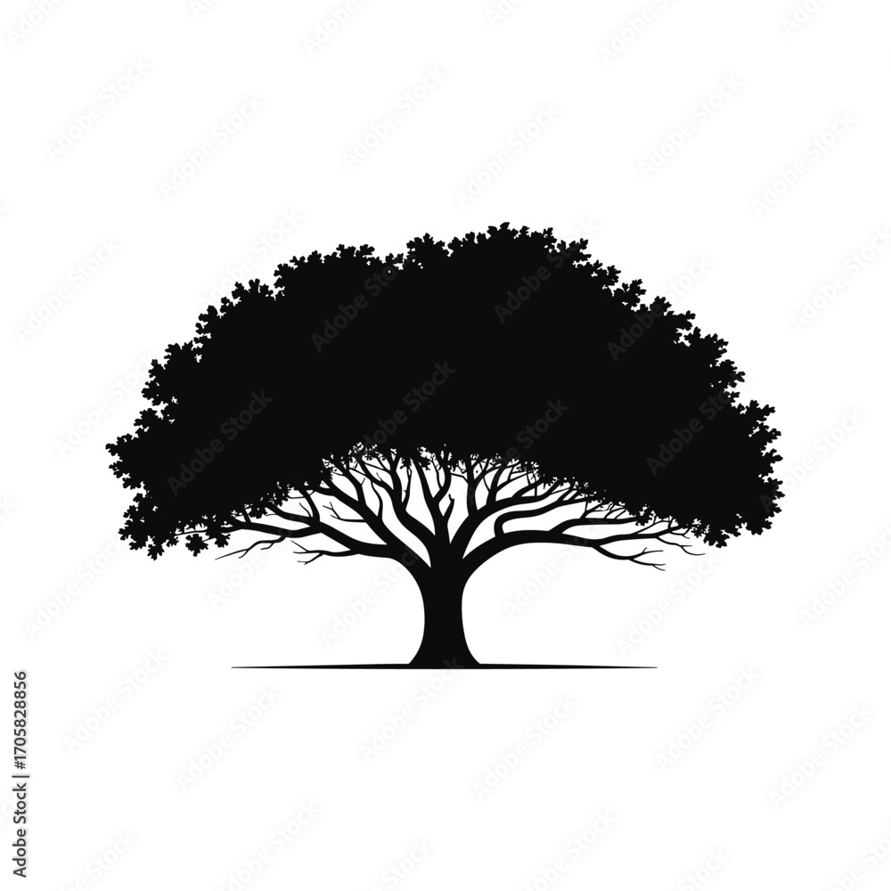 Fototapeta premium Majestic silhouette of a large oak tree with spreading branches and lush green foliage