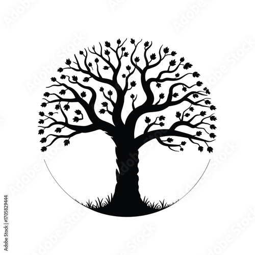 Silhouette of a large mature tree with intricate branches and leaves within a circular frame